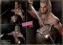 Discreet Poses (Shield/Sword) Volumen.5