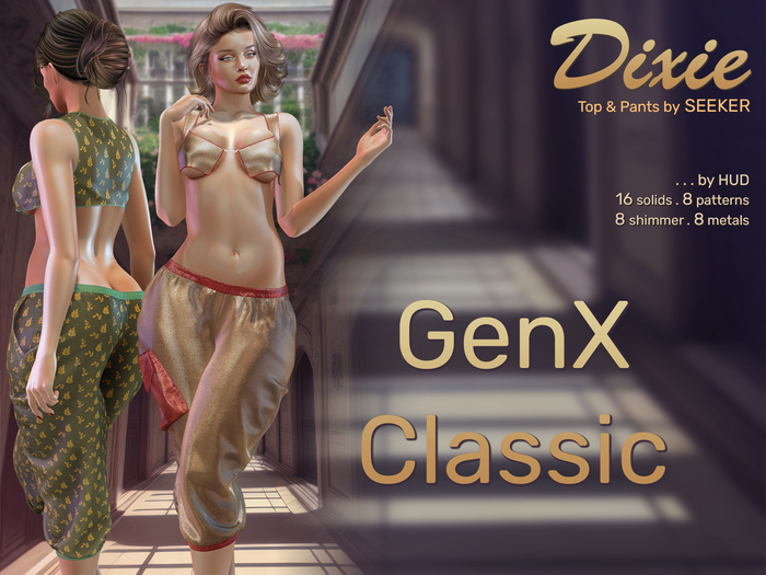 [seeker] Dixie GenXClassic
