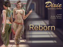 [seeker] Dixie Reborn