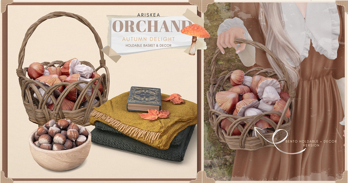 Ariskea[Orchand] Set