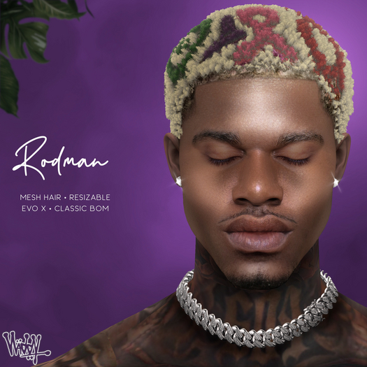 Vladdy // "Rodman" Afro