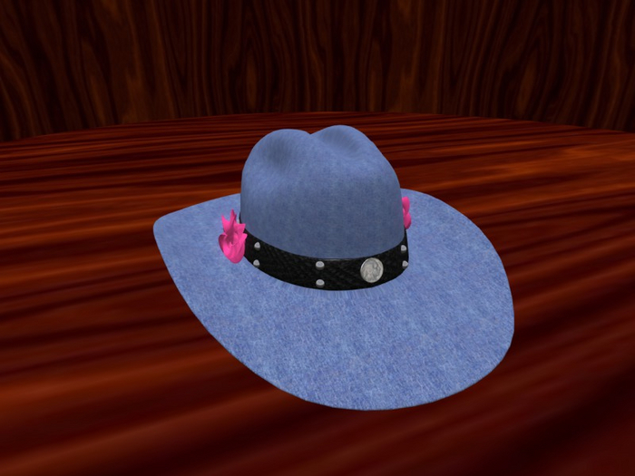 TM Western Denim Hat with Roses - Cowboy Hat