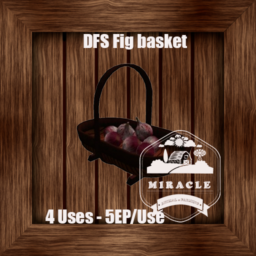 DFS Fig Basket