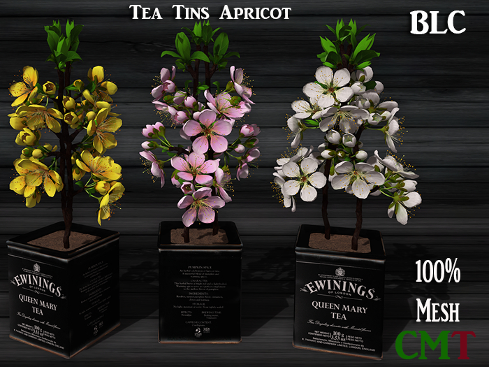 BLC Tea Tins Apricot