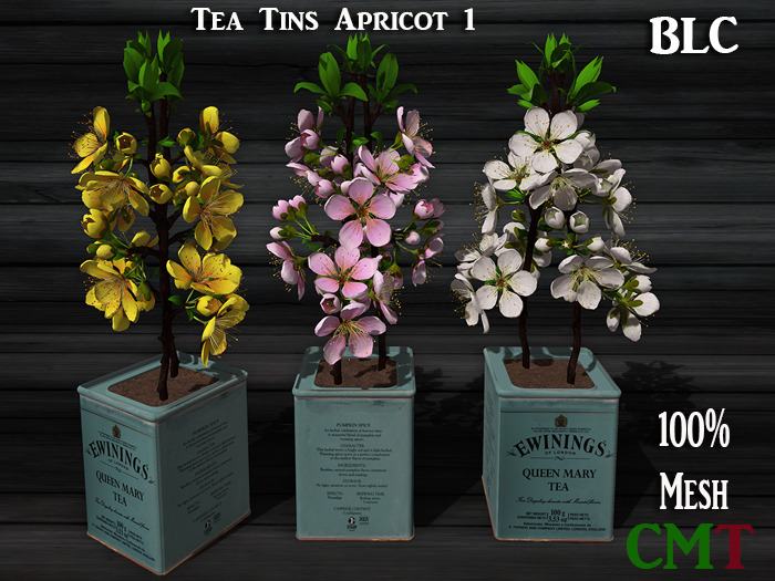 BLC Tea Tins Apricot 1