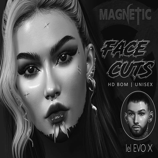 Magnetic - Face Cuts DEMO // Evo X