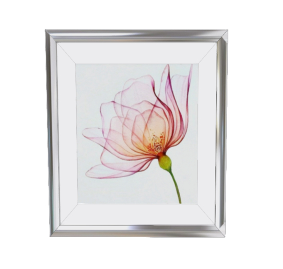 Nature - Flowers - 1