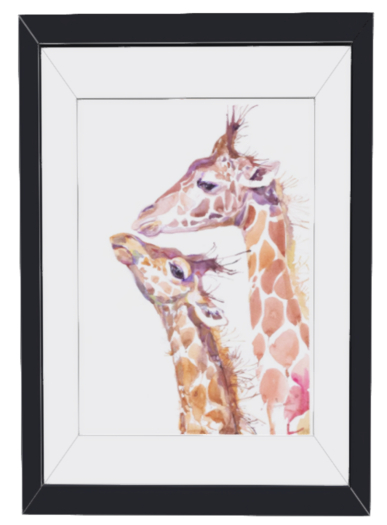Animal - Girraffe