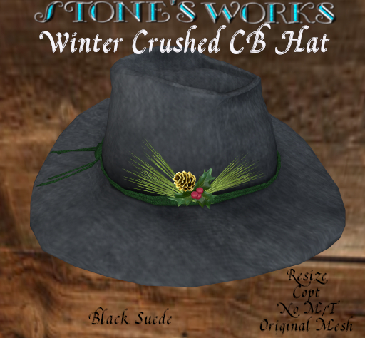 Winter Crushed CB Hat Blk Stone's Works