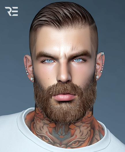 RENOVATIO SHAPE Igor