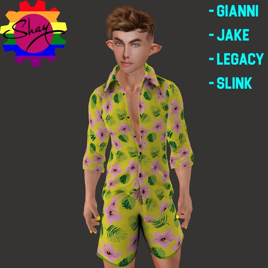 Hawaiian Outfit 6