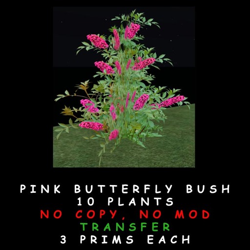 Pink Butterfly Bush (Boxed)