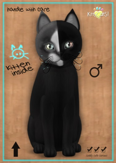 MEGAPUSS: KittyCatS Box - Chimera - Black Grey - MegaPuss
