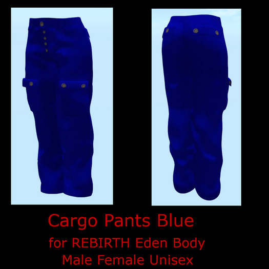 Cargo Pants Blue