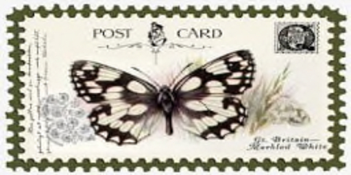 DVArtGoingPostal05