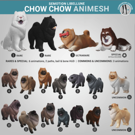 SEmotion Libellune Chow Chow Animesh Common 11