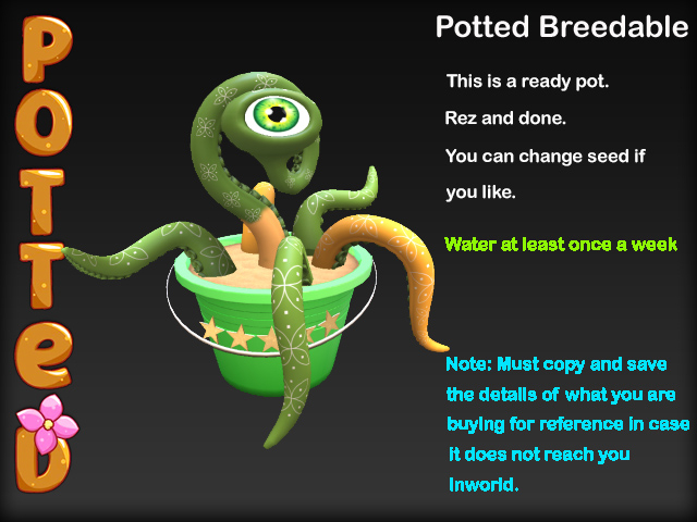 Potted ~ Beach Day Karnivore Pot - Green