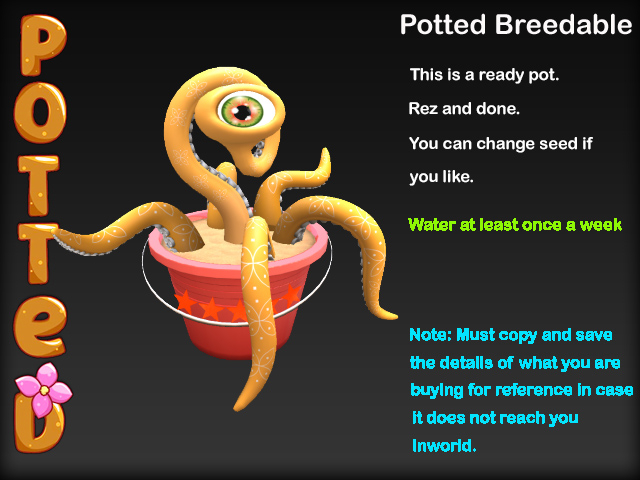 Potted ~ Beach Day Karnivore Pot - Red