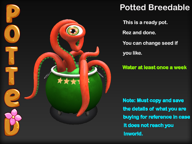 Potted ~ Sorcerer's Stew Karnivore Pot - Green