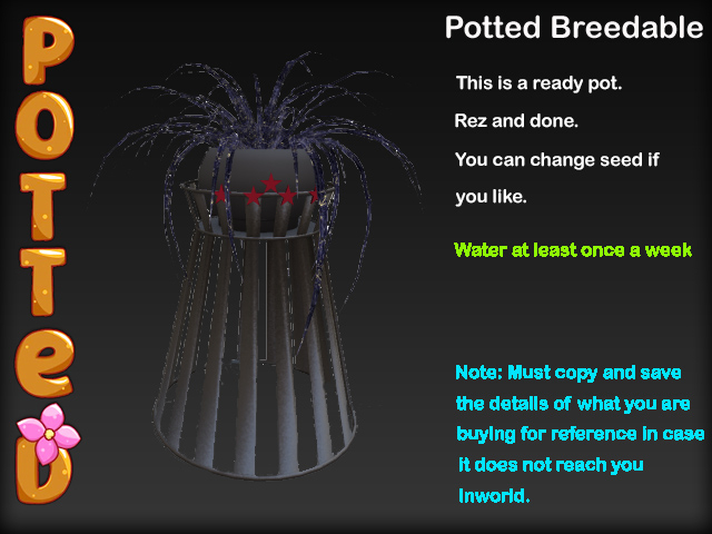 Potted ~ Wicker Spider Plant Pot - Gothic Charm