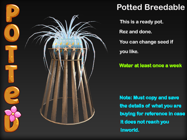 Potted ~ Wicker Spider Plant Pot - LE Chick Magnet