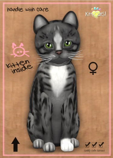 MEGAPUSS: KittyCatS Box - Genesis - Smokey III - MegaPuss