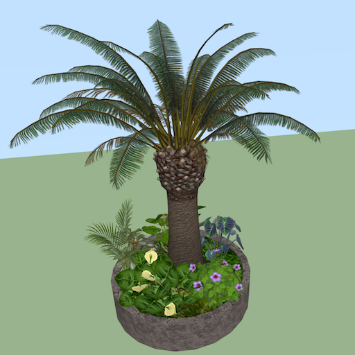 Song's Chubby Palm Planter