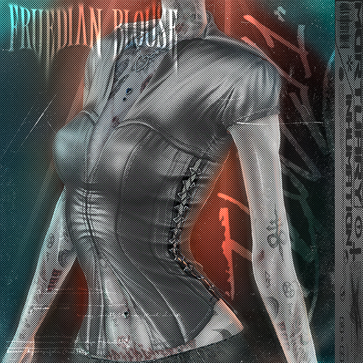 .:INHUMATION:. Fruedian Blouse Grey