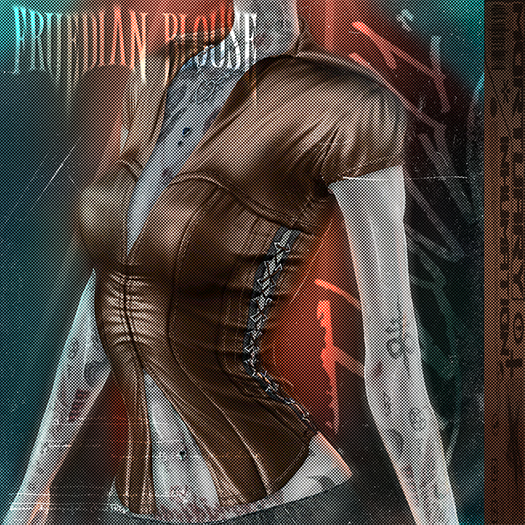 .:INHUMATION:. Fruedian Blouse Brown