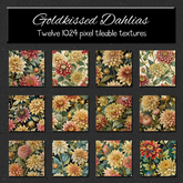 *Wallflowers* Goldkissed Dahlias