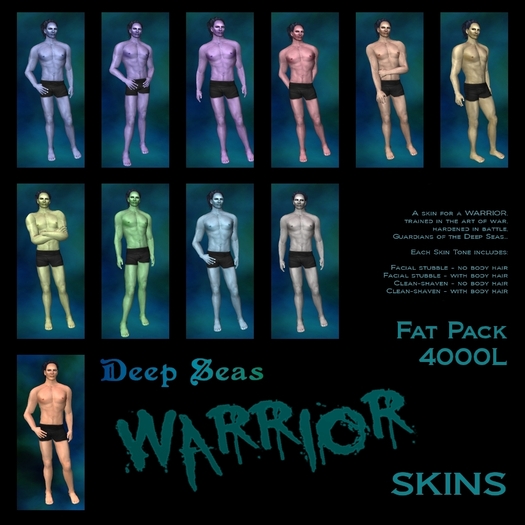 DS WARRIOR SKIN - FAT PACK