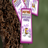 Potted: Philodendron Plant Seed: Spotlight Purple