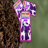 Potted: Philodendron Plant Seed: Amethyst Aura