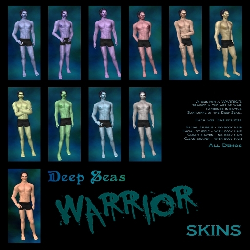 DS WARRIOR SKIN - DEMOS