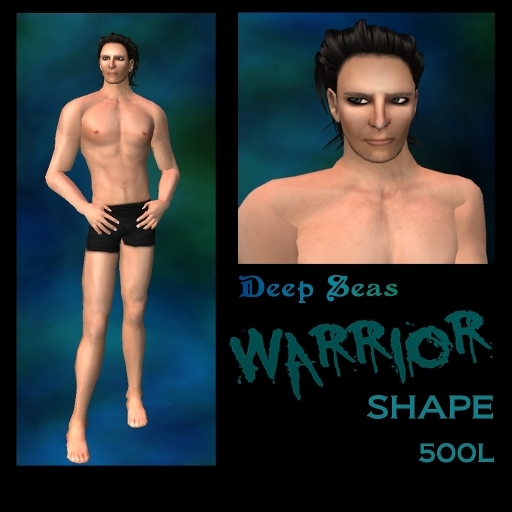 DS WARRIOR SHAPE DEMO