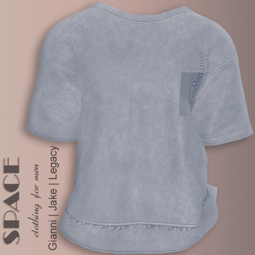 SPACE - Damir t-shirt - Blue - Gianni, Jake, Legacy