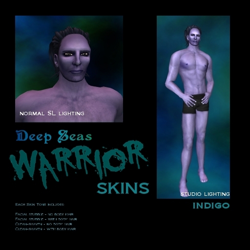 DS WARRIOR SKIN - INDIGO