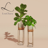 LouChara Archer Potted Plants 