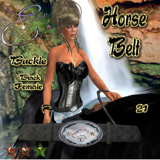 BELT HORSE FEMALE 21