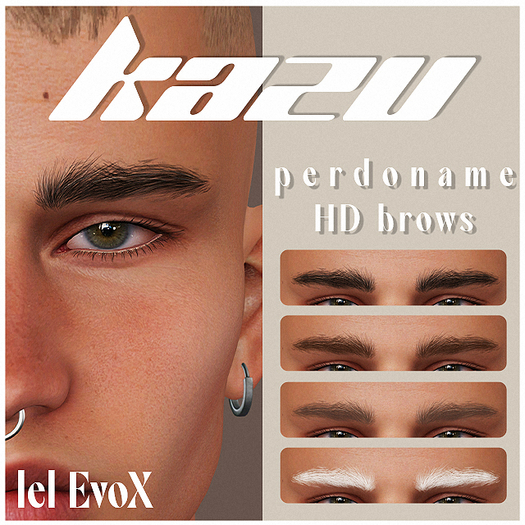 KAZU // perdoname HD Brows - EVOX