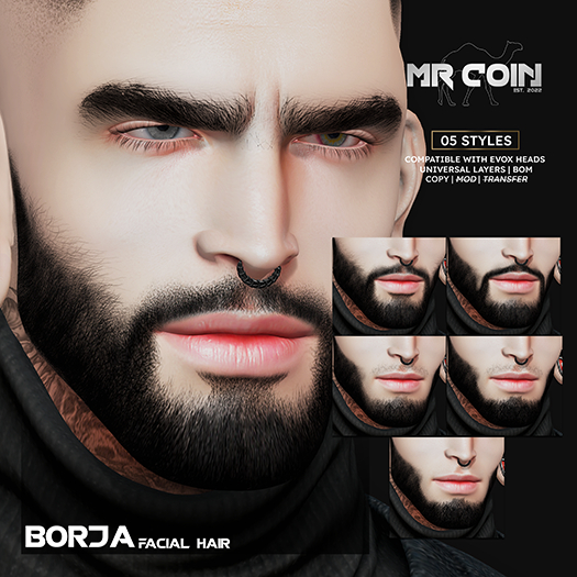 MRCOIN - Borja Facial Hair EVOX Fatpack