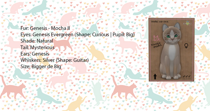 KittyCatS Box -  Genesis - Mocha II - Bigger de Big