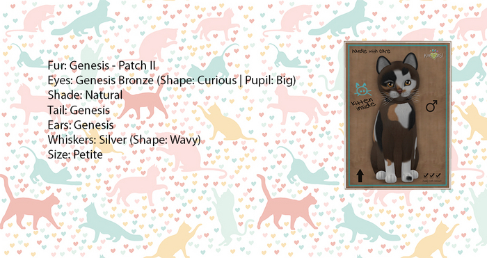 KittyCatS Box - Genesis - Patch II - Petite