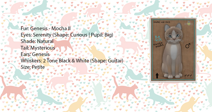 KittyCatS Box - Genesis - Mocha II - Petite