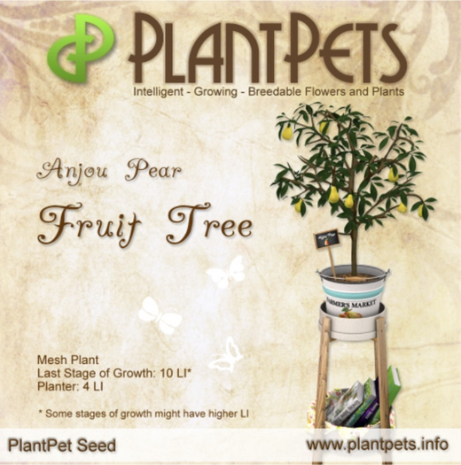 PlantPet Seed [Fruit Tree *Anjou Pear*]