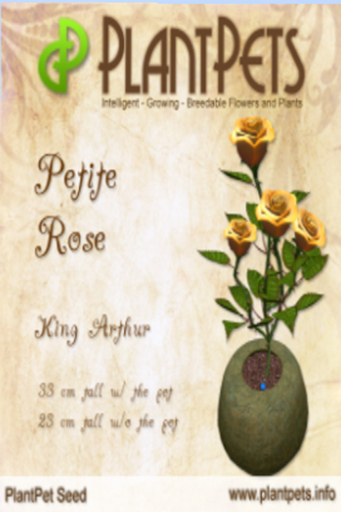 PlantPet Seed [Petite Rose *King Arthur*] Updated