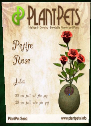 PlantPet Seed [Petite Rose *Julia*] Updated