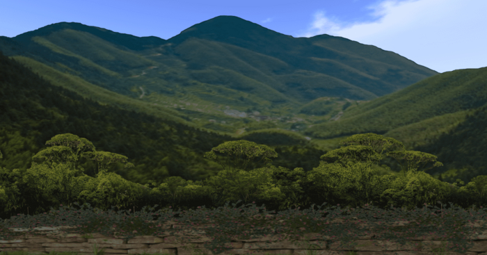 Nature Screen one side Mesh
