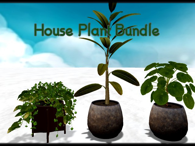 [AE] Home & Garden - House Plants Mix B