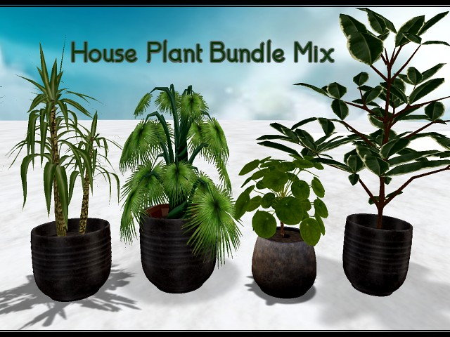 [AE] Home & Garden - House Plants Mix C